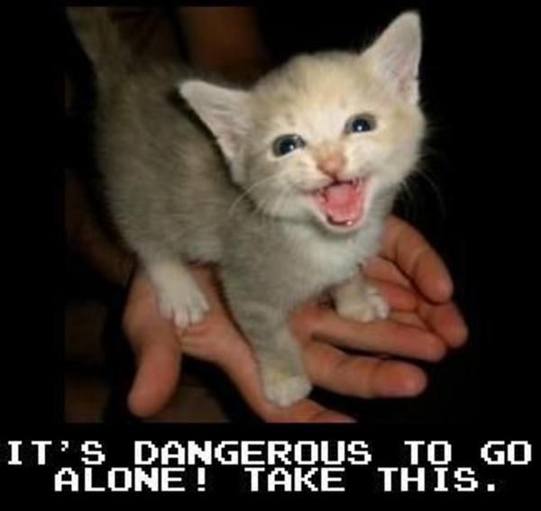 it's dangerous to go alone! take this.
